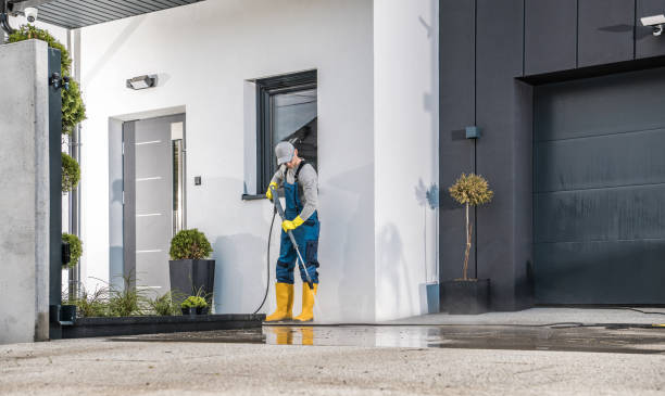 Best Pre-Holiday Cleaning  in Parlier, CA